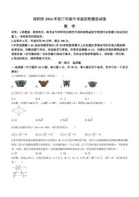 2024年广东省深圳市宝安区文汇学校中考模拟数学试题