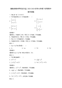 数学：湖南省株洲市攸县片区2023-2024学年七年级下学期期中试题（解析版）