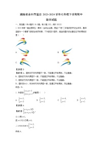 数学：湖南省永州市道县2023-2024学年七年级下学期期中试题（解析版）
