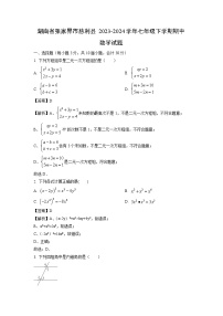 数学：湖南省张家界市慈利县2023-2024学年七年级下学期期中试题（解析版）