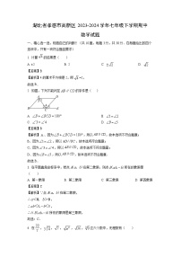 数学：湖北省孝感市高新区2023-2024学年七年级下学期期中试题（解析版）