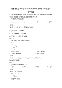 数学：湖北省咸宁市赤壁市2023-2024学年七年级下学期期中试题（解析版）