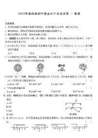 湖南省益阳市桃江县多校联考2024年中考三模考试数学试题