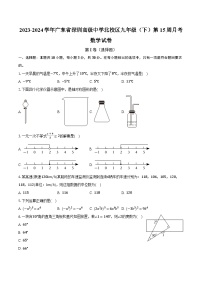 2023-2024学年广东省深圳高级中学北校区九年级（下）第15周月考数学试卷