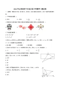 2024年山东省济宁市金乡县中考数学三模试卷（含解析）