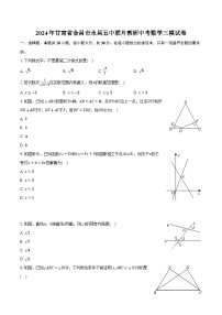 2024年甘肃省金昌市永昌五中联片教研中考数学三模试卷（含解析）