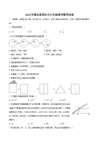 2024年湖北省武汉市九年级调考数学试卷（含解析）