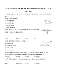 2023-2024学年山东省德州市夏津县万隆实验中学七年级（下）月考数学试卷（含解析）