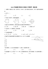 2024年西藏日喀则市白朗县中考数学一模试卷（含解析）