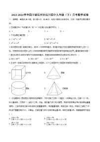 2023-2024学年四川省达州市达川四中九年级（下）月考数学试卷（含解析）