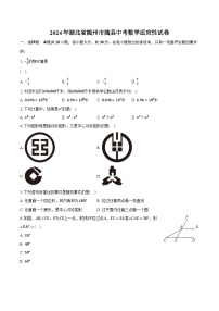 2024年湖北省随州市随县中考数学适应性试卷（含解析）