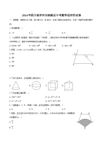 2024年四川省泸州市纳溪区中考数学适应性试卷（含解析）