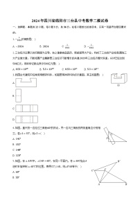 2024年四川省绵阳市三台县中考数学二模试卷（含解析）