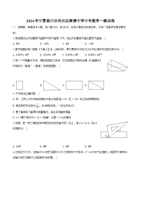 2024年宁夏银川市兴庆区唐徕中学中考数学一模试卷（含解析）