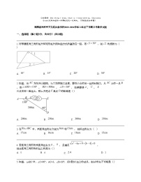 湖南省株洲市天元区白鹤学校2023-2024学年八年级下学期月考数学试题