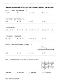 新疆阿克苏地区拜城县2023-2024学年八年级下学期第一次月考数学试题