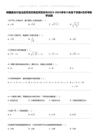 新疆维吾尔自治区阿克苏地区阿克苏市2023-2024学年八年级下学期4月月考数学试题
