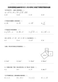 天津市西青区当城中学2023-2024学年八年级下学期月考数学试题