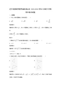 数学：辽宁省抚顺市新宾满族自治县2023-2024学年八年级下学期期中试题（解析版）