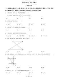 【全套精品专题】初中复习专题精讲湖南省长沙市四大名校附属中学2022-2023广益七下期末数学试卷（带答案）