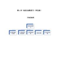 2023-2024学年北师版八年级数学寒假专题拔高作业 第1节勾股及实数复习（含答案）