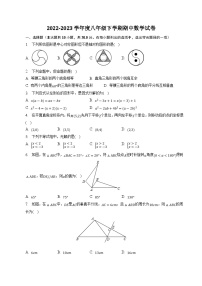 河南省驻马店市驿城区2022-2023学年八年级下学期期中考试数学试卷(含部分解析)