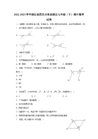 湖北省武汉市东西湖区2022-2023学年七年级下学期期中考试数学试卷(含解析)