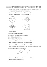 湖南省邵阳市新邵县2022-2023学年八年级下学期期中考试数学试卷(含解析)