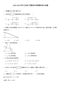 2023-2024学年沪科版七年级下册数学 期末复习试题