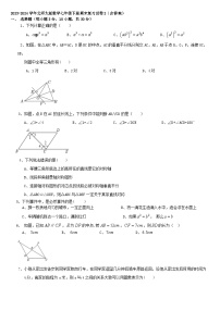 2023-2024学年七年级下学期北师大版数学期末复习试卷2