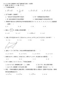 2023-2024学年人教版数学八年级下册期末复习试卷2