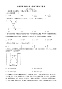 2024年四川省成都市石室天府中学九年级下学期中考三模数学试题(无答案)