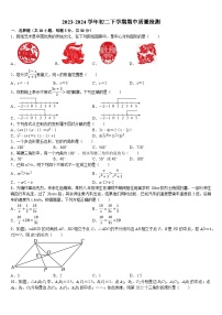 广东省佛山市禅城区明德中英文学校2023—2024学年八年级下学期数学期中测试