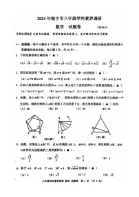 浙江省嘉兴市海宁市2023-2024学年八年级下学期6月学科素养调研数学试题