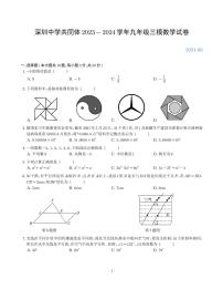 2024年深圳市深中系学校初三三模数学试卷