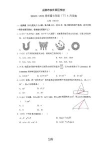 四川省+成都市实外西区学校2023-2024学年七年级下学期6月月考数学试题