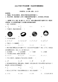 2024年广西壮族自治区钦州市灵山县青云中学九年级中考数学第一次适应性检测模拟试题(无答案)