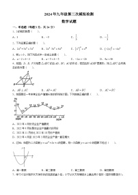 2024年江苏省徐州市鼓楼区徐州市树恩中学中考三模数学试题(无答案)