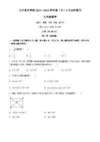 2024年四川省成都市七中育才学校九年级数学三模试题(无答案)