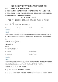 2024年四川省广元市旺苍县中考三模数学试题