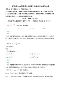 2024年四川省广元市旺苍县中考三模数学试题