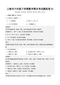 上海市六年级下学期数学期末考试模拟卷01-2023-2024学年上海市初中数学下学期期末全真模拟检测卷(沪教版)