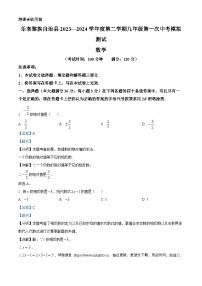 2024年海南省乐东黎族自治县九年级第一次中考模拟数学试题