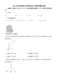 2024年河北省唐山市曹妃甸区中考模拟数学试题