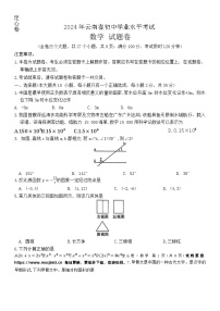 2024年云南省初中学业水平模拟考试数学试题（定心卷）