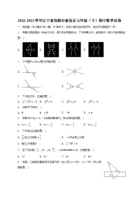 辽宁省抚顺市新抚区2022-2023学年七年级下学期期中考试数学试卷(含解析)