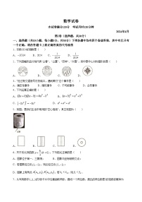 湖北省武汉市青山区2024届九年级下学期中考一模数学试卷(含答案)