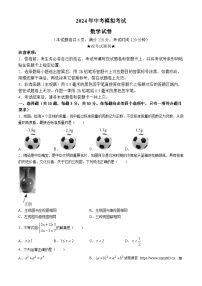 2024年湖北省襄阳市枣阳市中考模拟数学试题