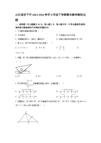 山东省济宁市2023-2024学年七年级下学期期末数学模拟试题