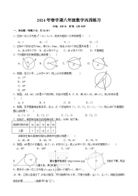 江苏省盐城市射阳县实验初级中学2023-2024学年八年级下学期巩固练习(6月月考)数学试题